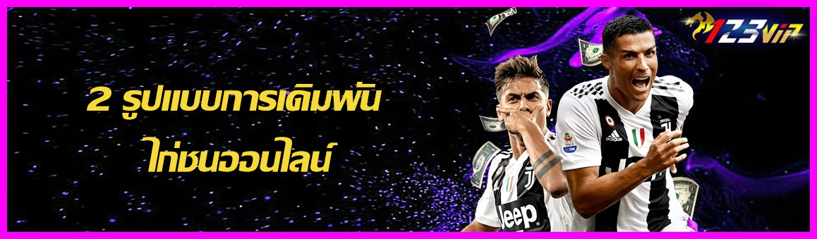 2 รูปแบบการเดิมพัน ไก่ชนออนไลน์ 